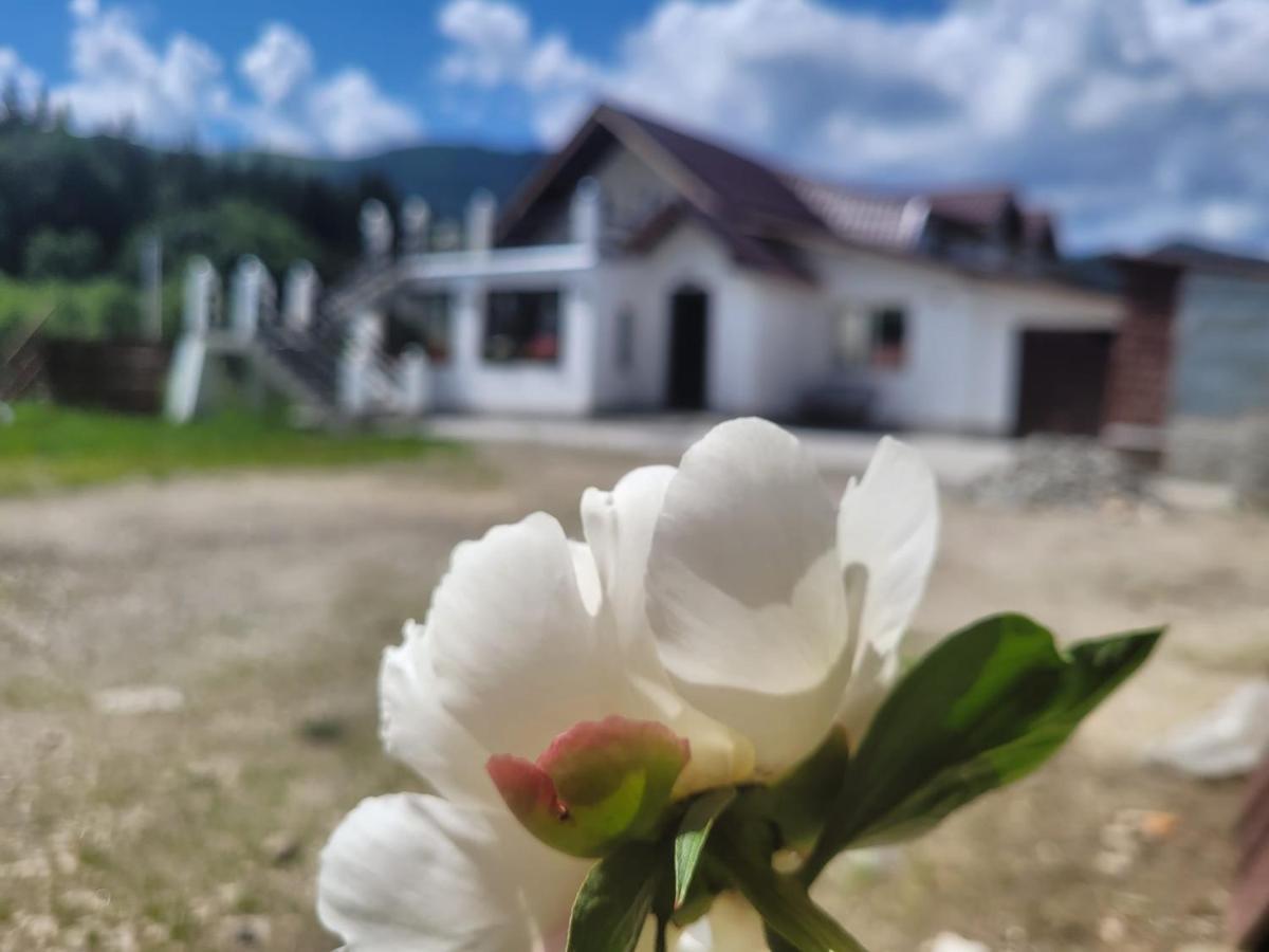 Poarta Zaganului Cheia Hotel Cheia  Luaran gambar